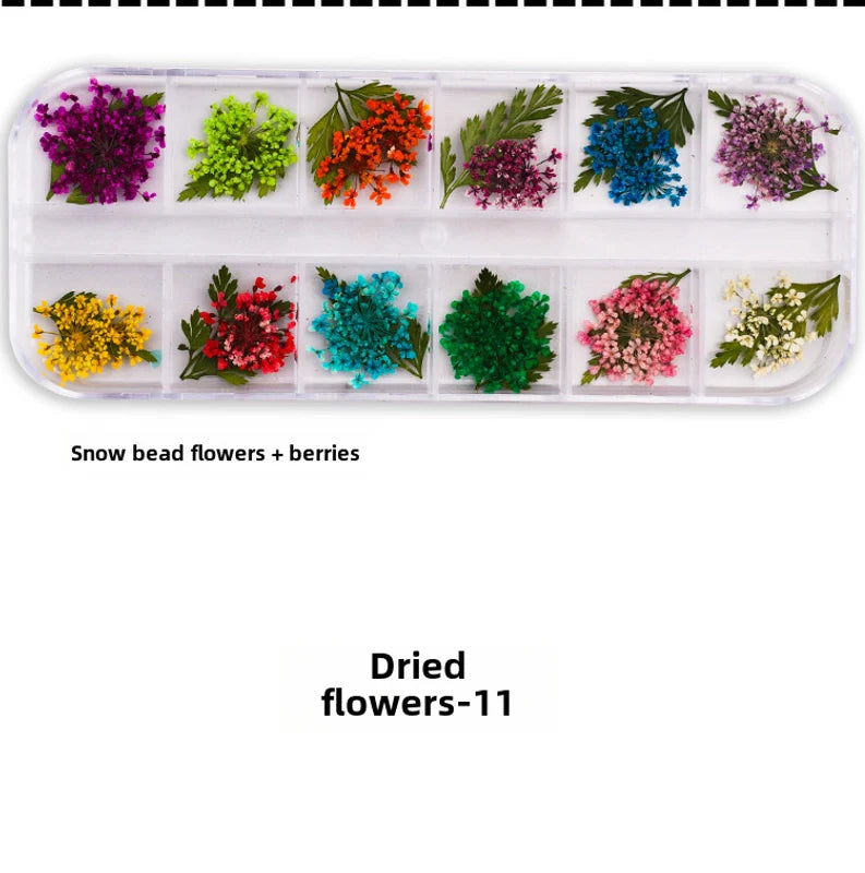 Dried Flowers